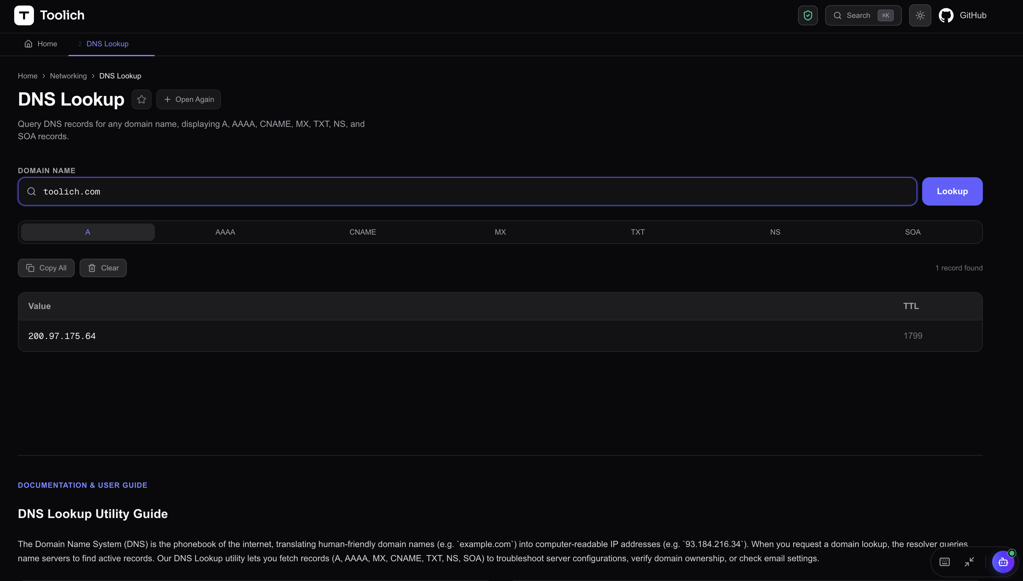 Client-Side DNS Lookup — Query DNS Records Instantly